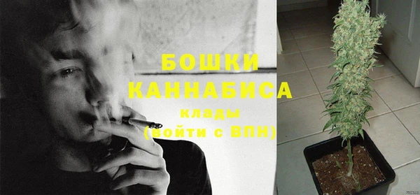 стаф Арсеньев