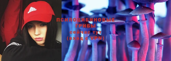 твердый Аркадак