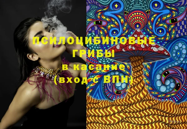стаф Арсеньев