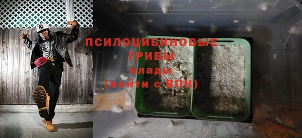 твердый Аркадак