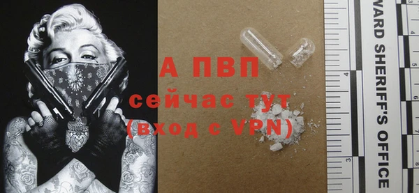 стаф Арсеньев