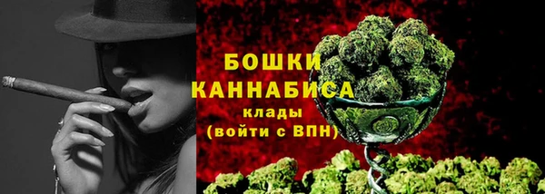 твердый Аркадак
