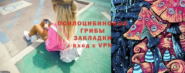 стаф Арсеньев