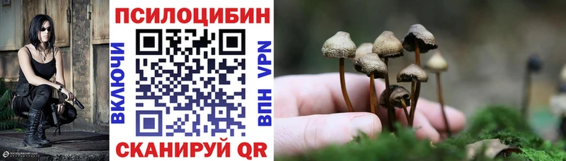 где купить   Артёмовский  Галлюциногенные грибы прущие грибы 